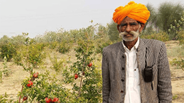 Farmer 3