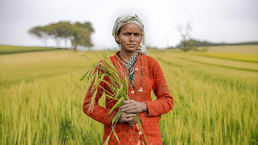 Farmer 2